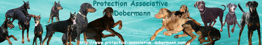 DOBERMANN PAD ADOPTION