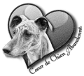 coeur-chien-abandonne.png