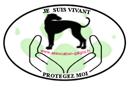 Logo galgos