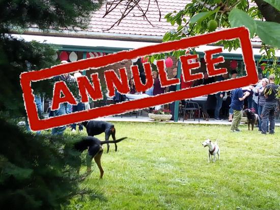 Ag annulee