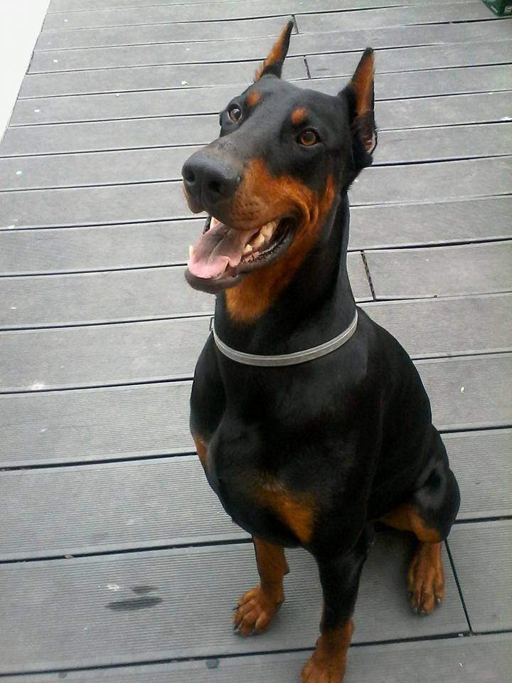 Keiton