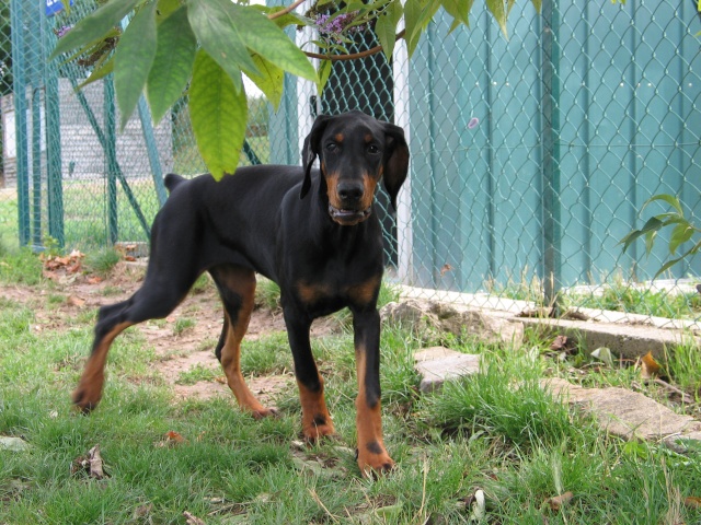 Larane10