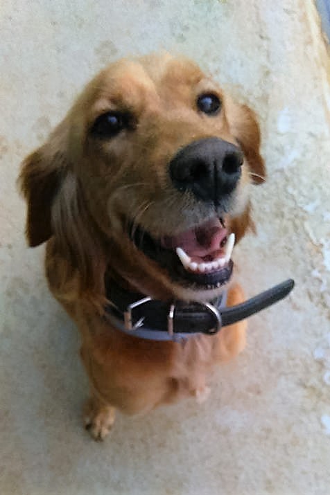 Lilou10