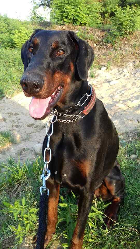 Max